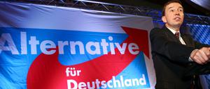Wie weiter? Bernd Lucke will die AfD allein führen.