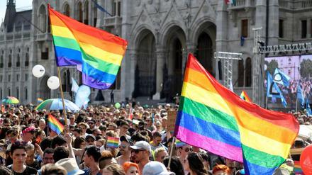 Längst nicht alle Lebensbereiche sind so divers wie dieses Pride-Festival in Budapest.