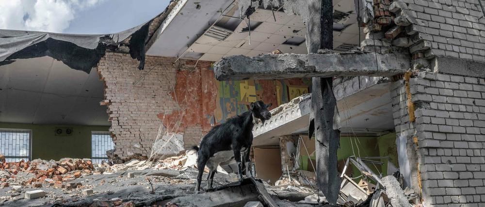Trümmer eines Gebäudes in der südukrainischen Region Mykolajiw
