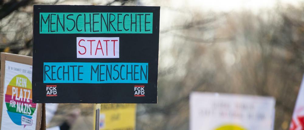 Demonstranten beim Parteitag der AfD in Braunschweig