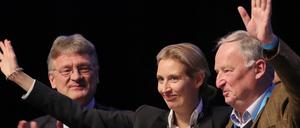 Spitzenduo der AfD für die Bundestagwahl: Alice Weidel und Alexander Gauland (rechts)