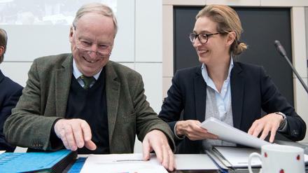 Die beiden Vorsitzenden der Bundestagsfraktion Alexander Gauland und Alice Weidel vor Beginn der Fraktionssitzung am Dienstag im Deutschen Bundestag. 