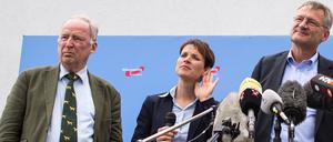 Frauke Petry (M), Jörg Meuthen (r) und ihr Stellvertreter Alexander Gauland (l) suchen eine gemeinsame Richtung - irgendwo rechts.