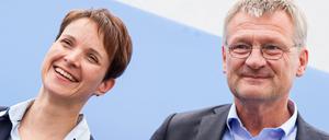 Die beiden AfD-Chefs Frauke Petry und Jörg Meuthen.