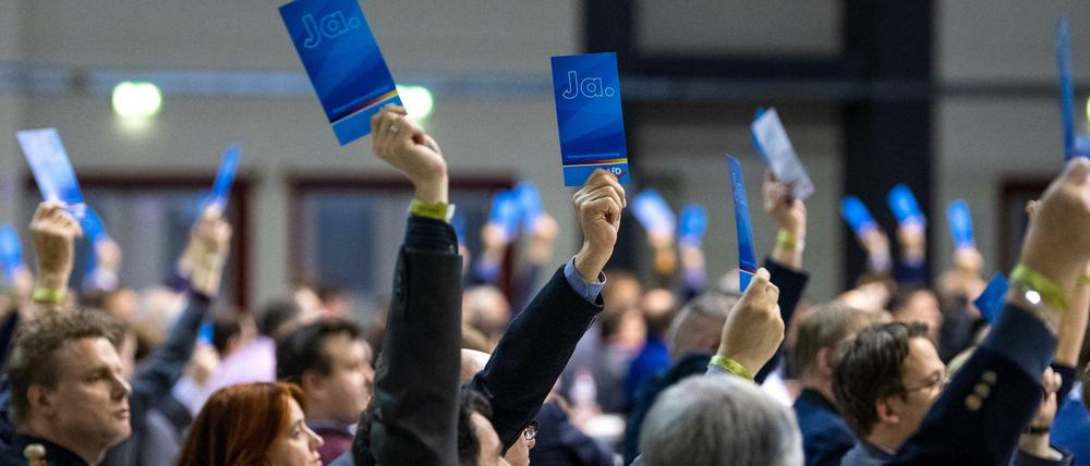 Riesa war der zweite Parteitag den die AfD zur Europawahl abhielt.