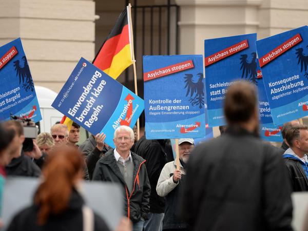 AfD-Demo vor dem Landtag in Potsdam. Die meisten Brandenburger vertrauen der Politik nicht mehr.