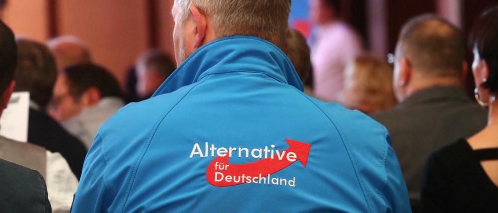 Delegierte beim AfD-Landesparteitag in Thüringen (Archivbild) 