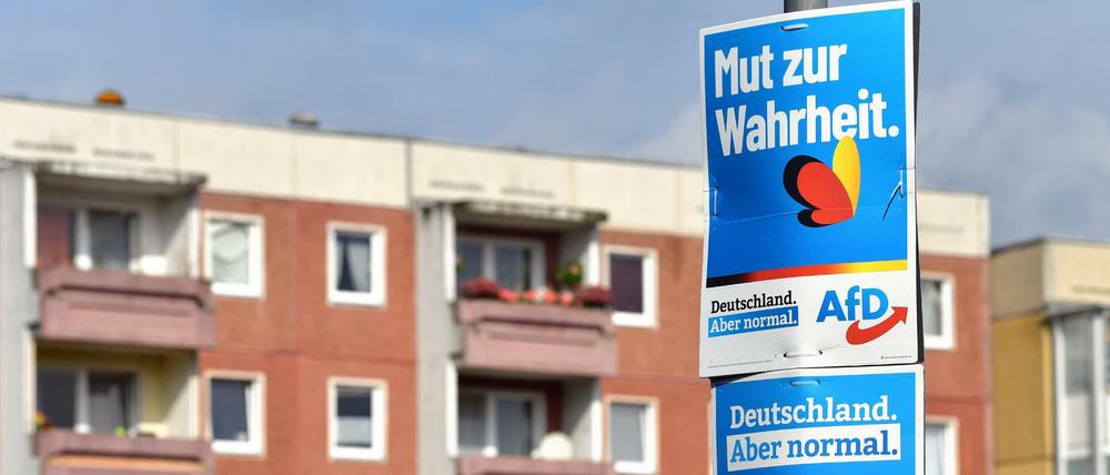 Wahlplakate der Alternative für Deutschland (AfD).