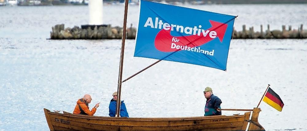 Wahlwerbung der AfD in Mecklenburg-Vorpommern.