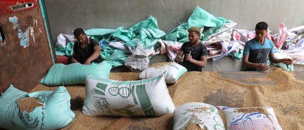 Arbeiter in Ägypten entladen Weizen in einem Getreidesilo in Banha