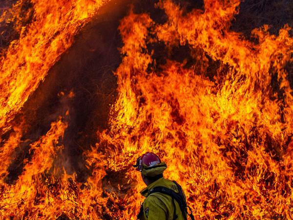 Ein Feuerwehrmann steht vor den gewaltigen Flammen.
