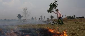 Die Brandrodungen in Brasilien tragen ebenfalls zu den Treibhausgasen bei. 