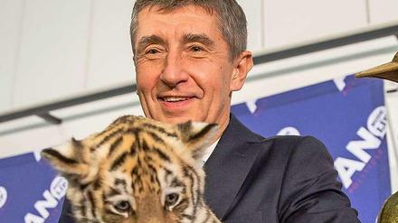Starker Auftritt. Wahlsieger Andrej Babis präsentierte sich nach der Abstimmung mit einem Tiger-Baby. Seine Partei erhielt 18,7 Prozent der Stimmen.