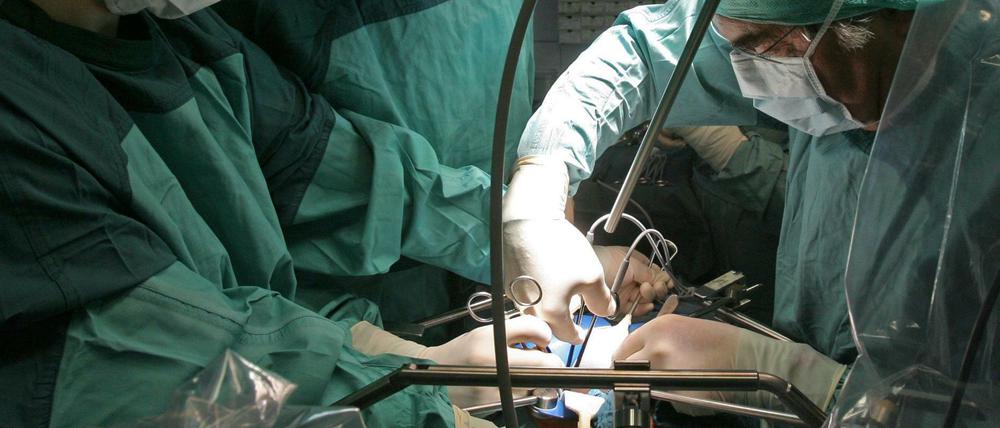 In einer Deutschen Klinik wird bei einer Operation einem Spender eine Niere entnommen, die für eine Transplantation vorgesehen ist.