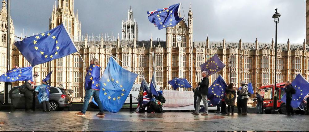 Demonstranten protestieren mit EU-Flaggen gegen den Brexit vor dem Parlament in London.