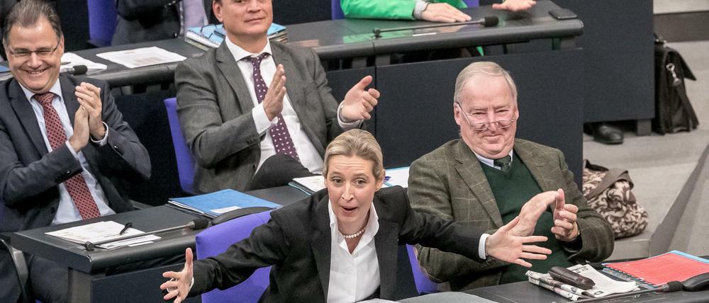 Die AfD im Bundestag.