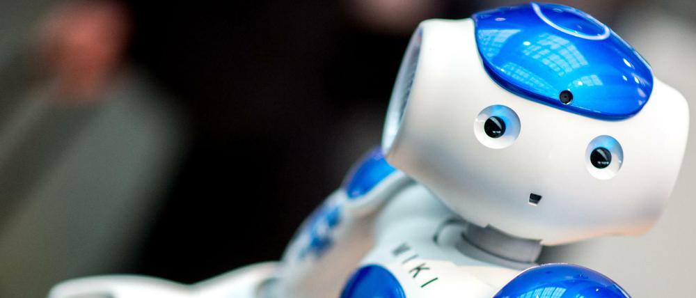 Der für Bildungszwecke programmierte Roboter "Miki"