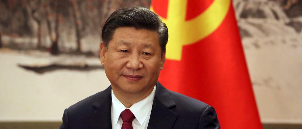 Xi Jinping, Staats- und Parteichef 