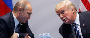 Der russische Präsident Wladimir Putin (l.) will sich nicht in die US-Wahl einmischen. Und fordert gleiches umgekehrt von Donald Trump.