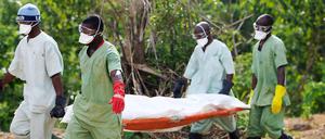 Totengräber auf dem Friedhof von Guéckédou, das im Herzen des Ebola-Krisengebiets in Guinea liegt.