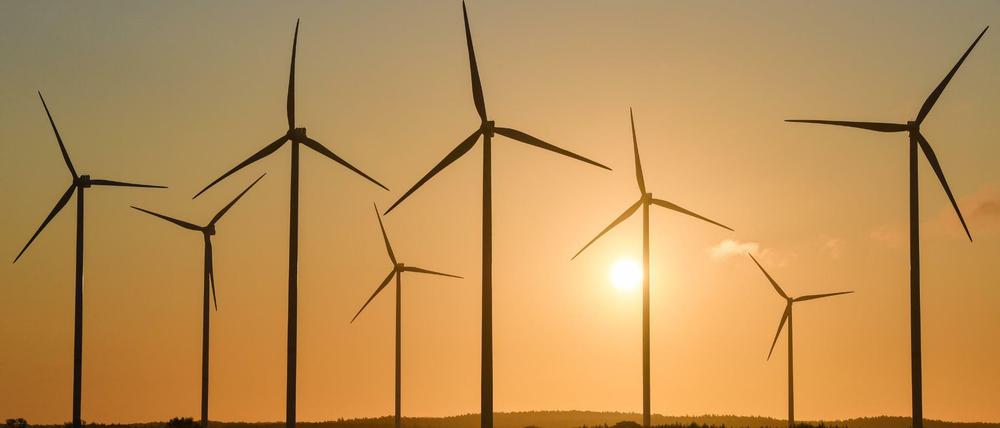 Der Klimaschutz muss den Widerstand gegen Windräder überwinden.