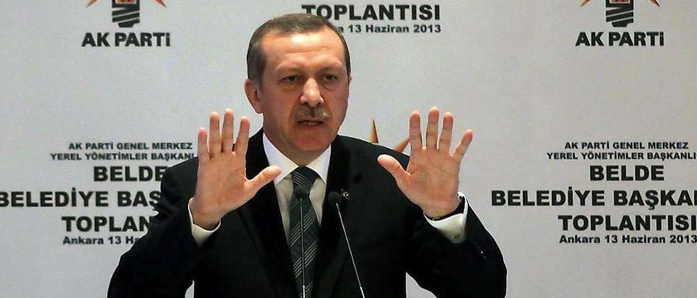 Der türkische Regierungschef Erdogan bietet den Demonstranten im Gezi-Park ein Referendum an.