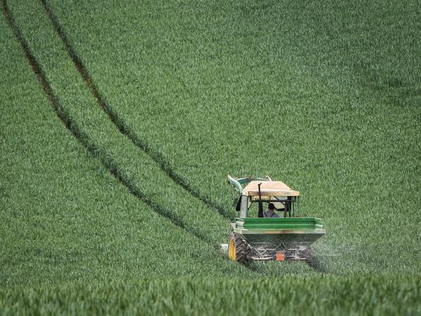 Trügerische Idylle: Die Landwirtschaft ist klimaschädigend - und EU setzt weiter auf Flächenprämien. 