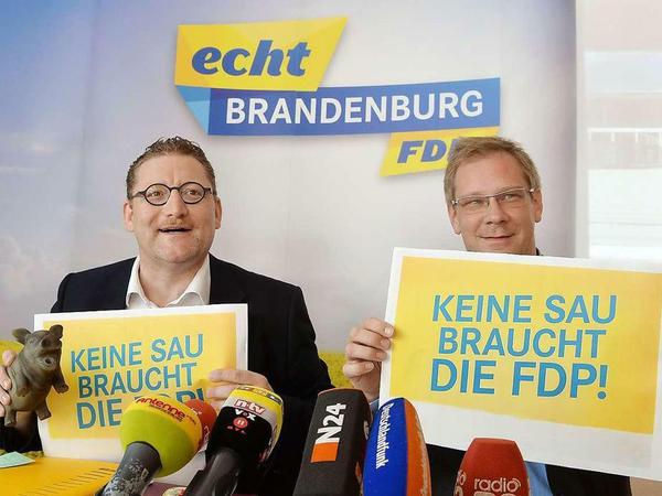 Wahlwerbung der FDP Brandenburg