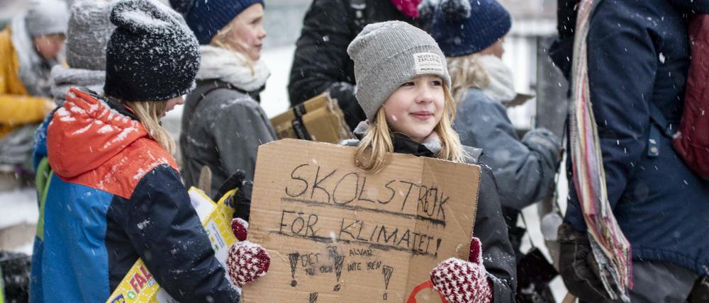 #fridaysforfuture-Demo von Schülern in Stockholm am 1. Februar 2019