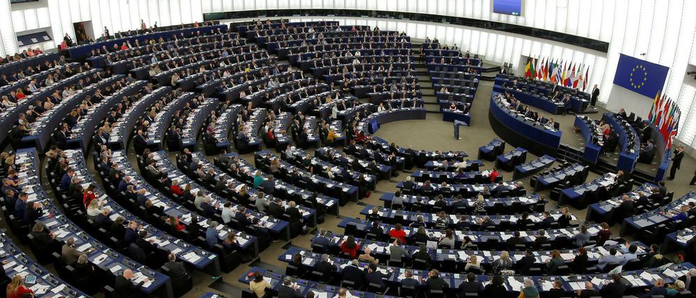 In den 28 EU-Staaten wird zwischen dem 23. und 26. Mai über die Zusammensetzung des Europaparlaments entschieden.