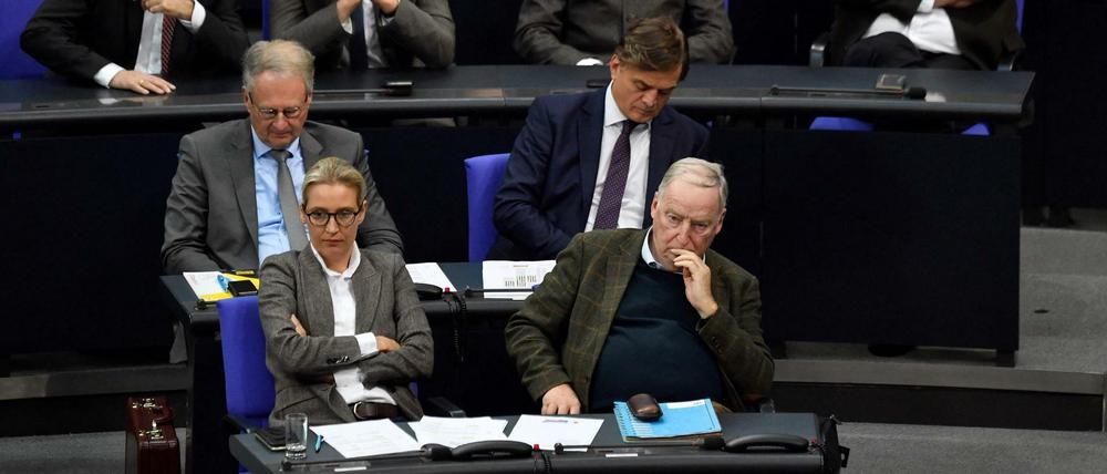 Die Fraktion der AfD im Bundestag.