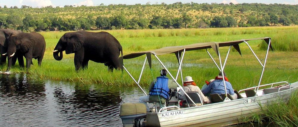 Der Tourismus, vor allem die teuren Safaris wie hier im Chobe-Nationalpark, ist eine der wichtigen Einnahmequellen.