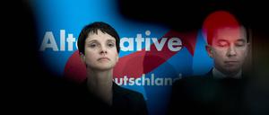 Keine Freunde mehr: Frauke Petry und Bernd Lucke streiten um die Führung in der AfD. 