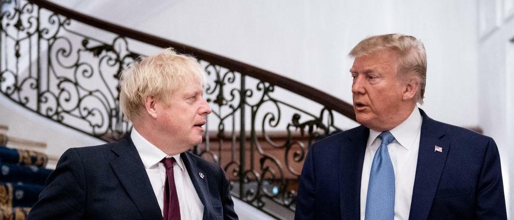 Boris Johnson (l.) und Donald Trump beim G7-Treffen in Biarritz