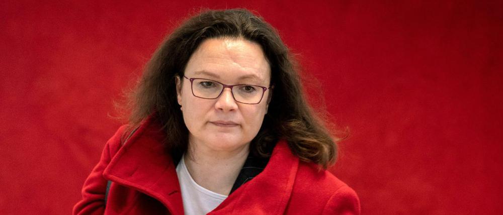 Andrea Nahles, Fraktionsvorsitzende und Parteichefin der SPD