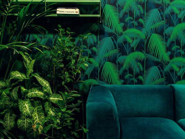 Die Büroräume der Berliner IT-Firma Futurice haben verschiedene Farben. Hier ein Zimmer ganz in Grün. 