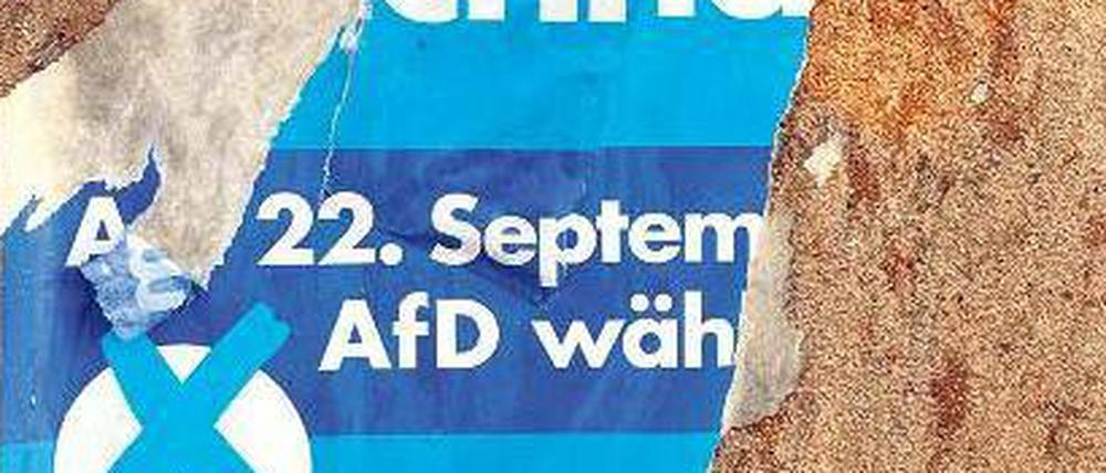 Zerstört: Ein Wahlkampfplakat der „Alternative für Deutschland“. 