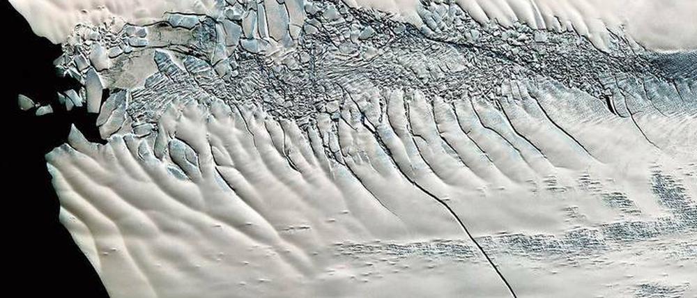 Erste Spuren der Eisschmelze. In der Westantarktis mehren sich seit mehreren Jahren die Anzeichen, dass der Eisschild dort instabil wird. Das Foto der amerikanischen Weltraumbehörde Nasa stammt aus dem Jahr 2011 und zeigt einen etwa 30 Kilometer langen Riss im Pine-Island-Gletscher. Er war zu diesem Zeitpunkt 80 Meter breit und 60 Meter tief. Seither sind Teile der Eismassen abgebrochen und die Gletscher der Westantarktis sind ins Rutschen geraten. Im Osten wächst das Meereis dagegen.
