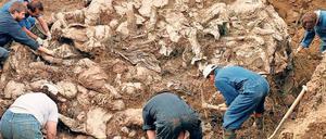 Ermittler des Internationalen Strafgerichtshofs arbeiten 1996 nahe Tuzla in Bosnien-Herzegowina an einem Massengrab, in dem Opfer des Massakers von Srebrenica liegen. 