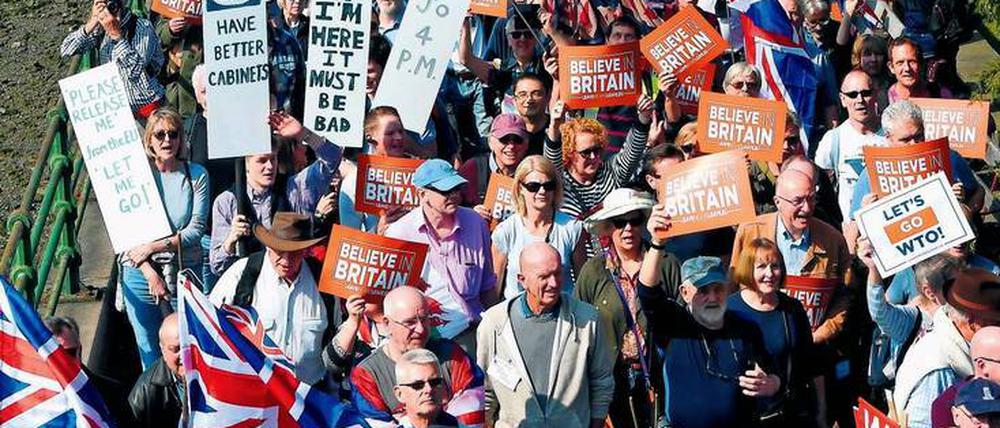 Unverdrossen. Anhänger eines harten Brexit demonstrieren am Freitag entlang der Themse zum Unterhaus in London. 