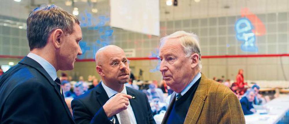 Der Thüringer AfD-Chef Björn Höcke, Brandenburgs Landeschef Andreas Kalbitz und Parteichef Alexander Gauland.