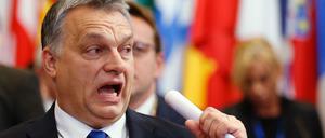 Seine Aussage stützt der ungarische Regierungschef Viktor Orban auf nicht näher bezeichnete "vorliegende Studien".