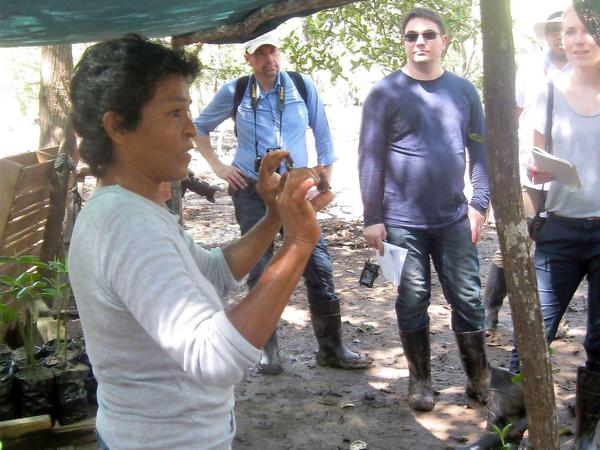 Dona Pachita zeigt die Muscheln, die sie im Mangrovengebiet sucht. 
