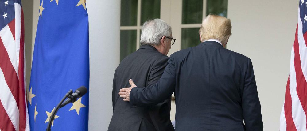 Einig in Washington: US-Präsident Trump und EU-Kommissionschef Juncker