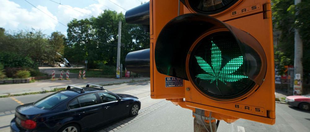 Grünes Licht von der Ampel-Koalition für Cannabis? 