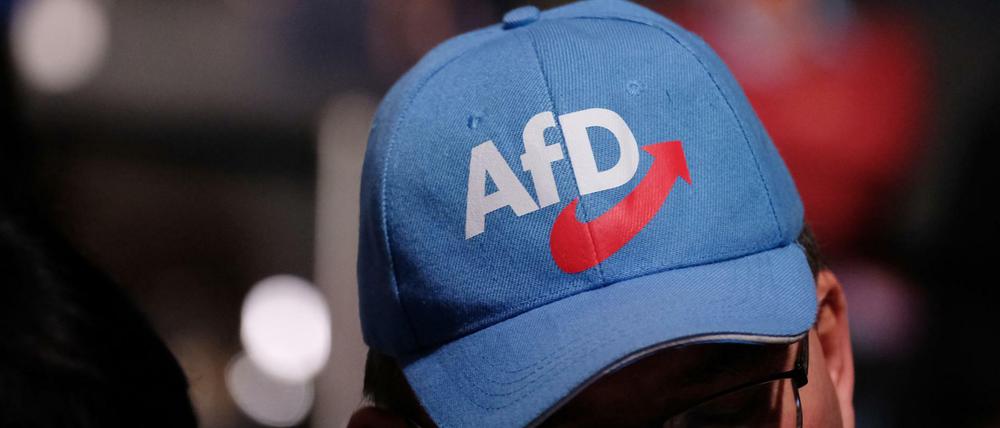 Die AfD schneidet in der Realität meist besser ab als bei Umfragen. 2019 kann sie das gleich bei drei Landtagswahlen im Osten beweisen. 