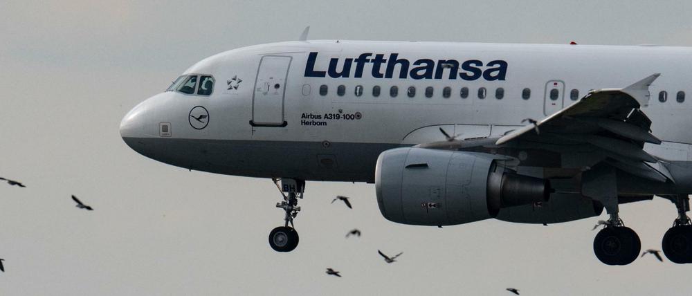 Maschine der Lufthansa in Frankfurt/Main