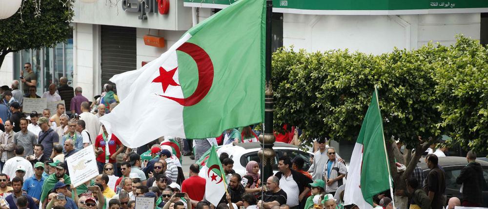 In Algerien kommt es seit Wochen zu Massenprotesten.