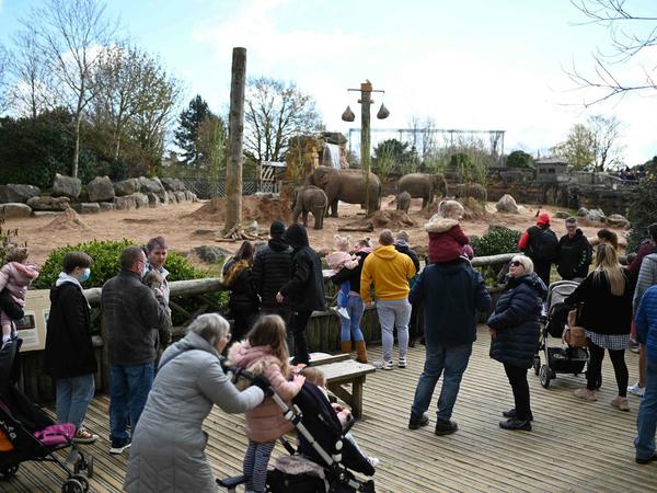 Auch Zoos dürfen in England seit Montag wieder öffnen.