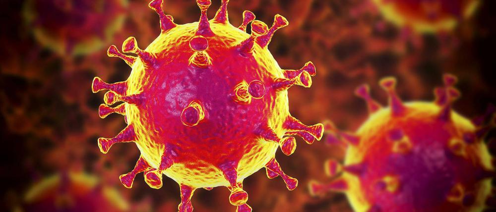 Viren bedrohen Menschen immer wieder - wie kann man die koodiniert abwehren?